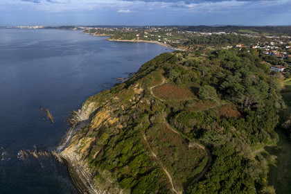 France, Pyrénées-Atlantiques (64), la côte du Pays-Basque, Saint-Jean-de-Luz, le sentier du littoral sur le GR 8 longeant la falaise de flysch de la Pile d'assiettes, sortes de mille-feuille alternant roches dures et roches tendres (vue aérienne)