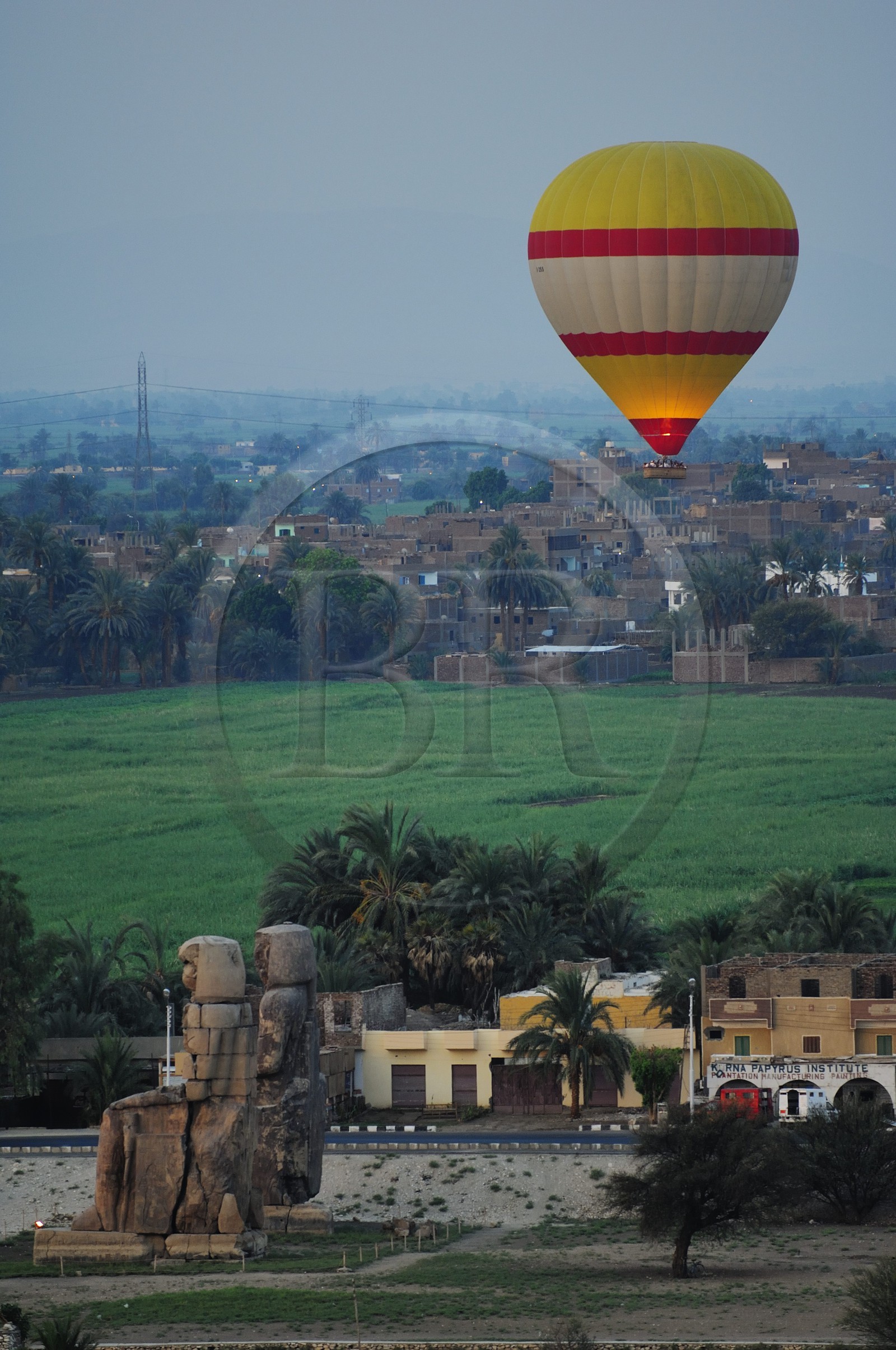Egypte, Haute Egypte, vallée du Nil, environs de Louxor, nécropole thébaine classée Patrimoine Mondial de l'UNESCO, Thèbes Ouest, les colosses de Memnon (vue aérienne)