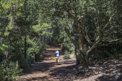 France, Loire-Atlantique (44), Saint-Brévin-Les-Pins, forêt de la Pierre Attelée