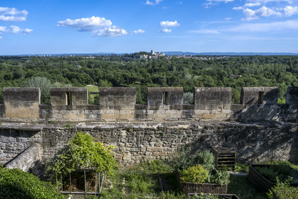 France (30), Gard, Villeneuve-lès-Avignon, jardins de l'ancienne abbaye bénédictine de Saint André derrière les remparts du Fort Saint André, le Palais des Papes classé Patrimoine mondial de l’UNESCO à Avignon en arrière plan