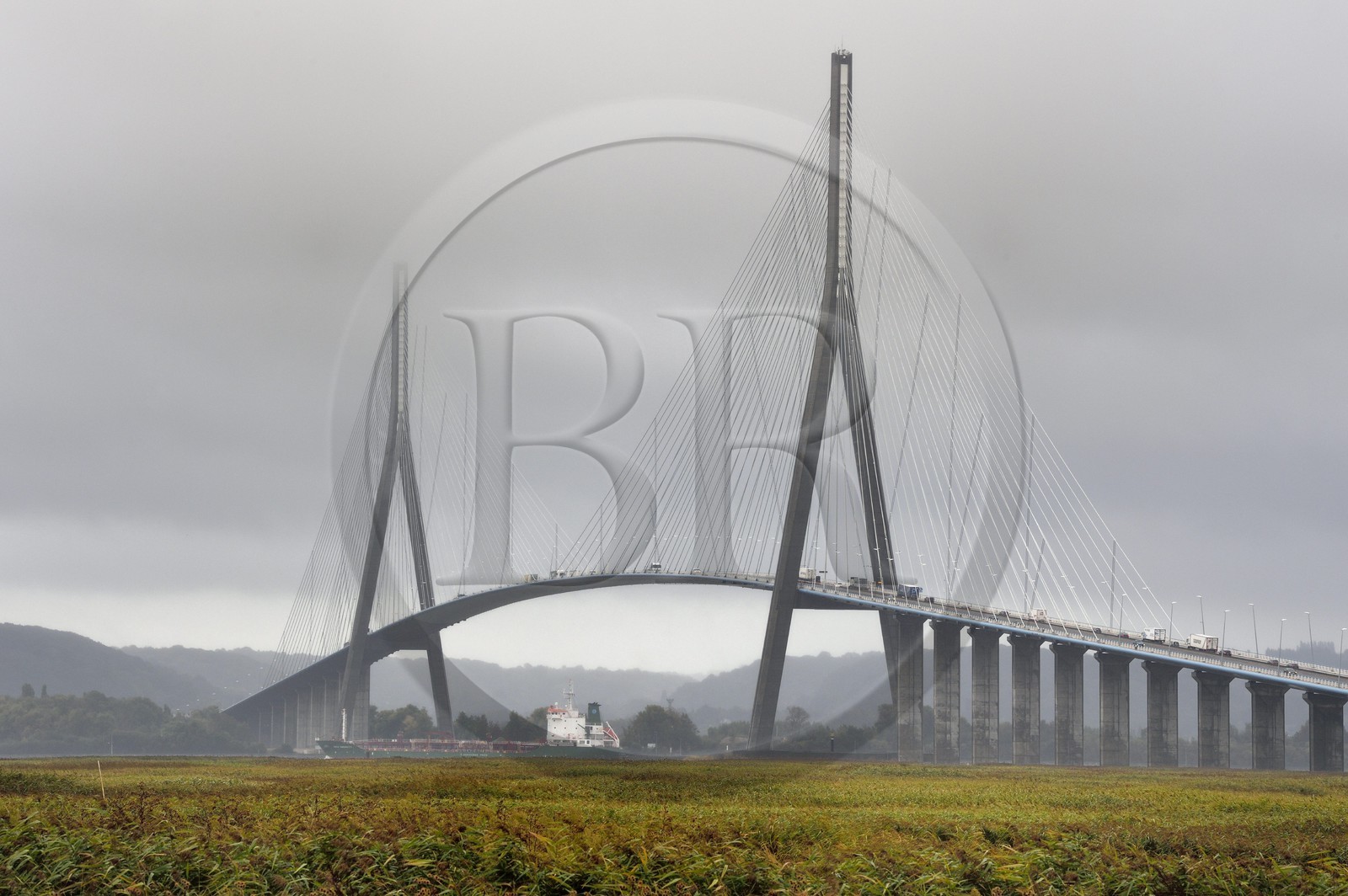 France, Seine-Maritime (76), Réserve Naturelle de l'estuaire de la Seine et cargo passant sous le pont de Normandie dans les nuages, la roselière au premier plan