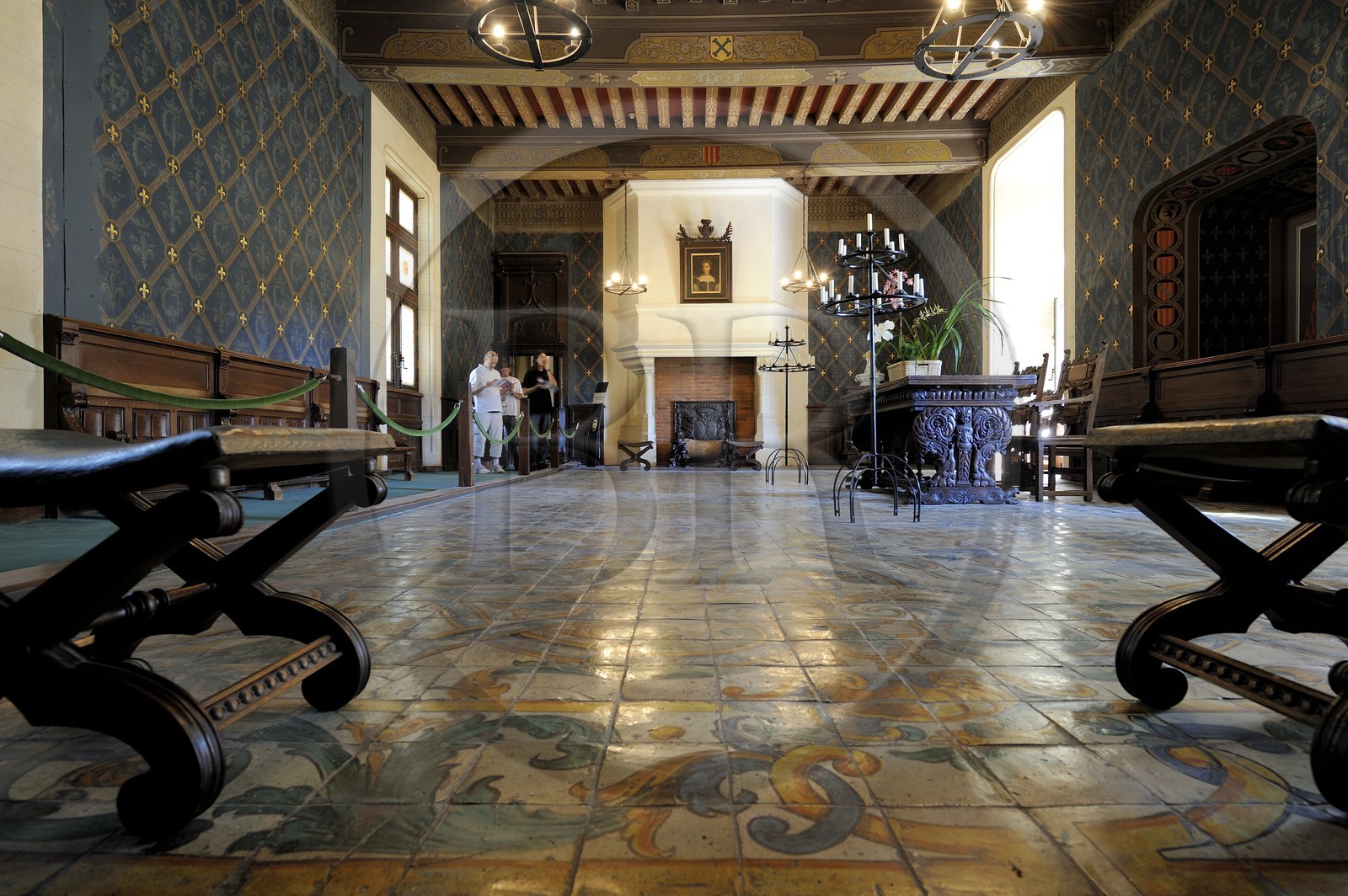 France, Loir et Cher, Loire Valley, listed as World Heritage by UNESCO, Chaumont sur Loire castle, Council Room