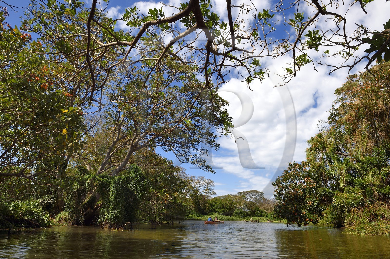 Nicaragua, Ometepe Island World Biosphere Reserve in Lake Nicaragua, kayak exploration of the marshes along the Rio Istian