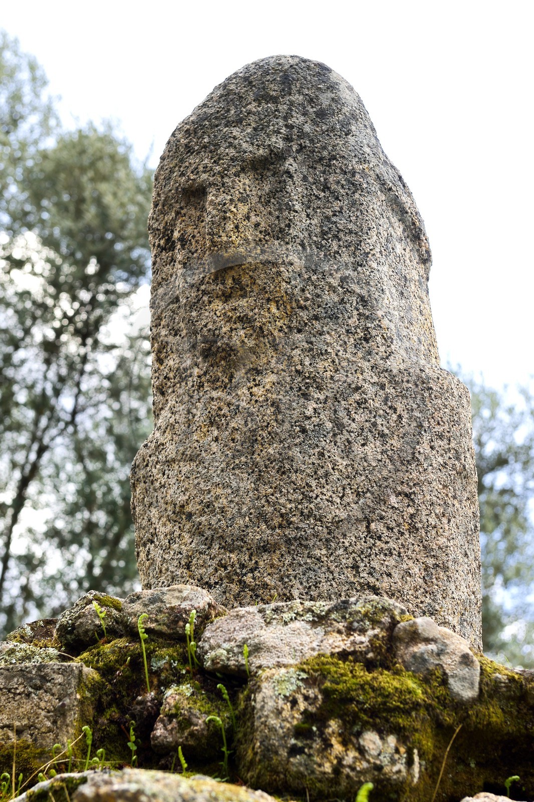 France, Corse-du-Sud (2A), site préhistorique de Filitosa, les menhirs du 4ème millénaire avant notre ère ont été retravaillés en statues-menhirs aux alentours de -1200 Av. J.C.