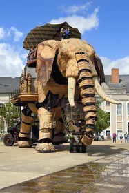 France, Loire-Atlantique, Nantes, Les Machines de l'Ile, an artistic project created by François Delaroziere and Pierre Orefice, the Big Elephant and the hangars of the former shipyards in the background