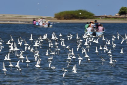 Nicaragua, la côte pacifique de Leon, parc national Isla Juan Venado, plage de Las Penitas