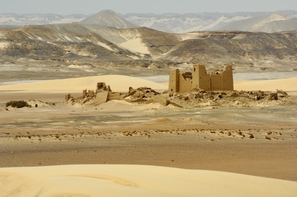 Egypte, Haute-Egypte, désert libyque, forteresse de Umm el-Dabadib au nord-est de Kharga