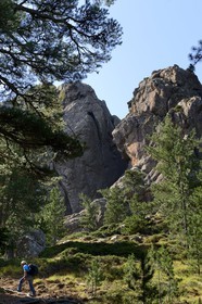 France, Corse du Sud, Alta Rocca, hiking in the massif of Bavella at the Punta Velacu