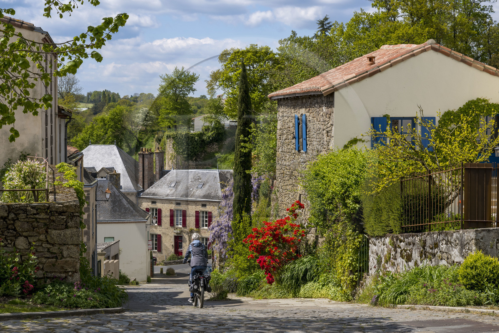 France, Vendée (85), Mallièvre, cycliste sur la véloroute Vendée Vélo Tour descendant de la Ville Haute