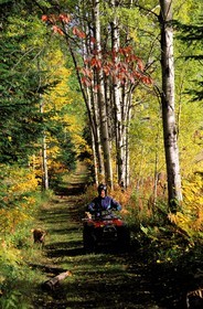 Canada, province de Québec, Saguenay, Claude Deschênes, fermier sur son Quad inspectant ses terres
