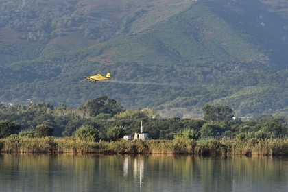 France, Haute Corse, the pond of Biguglia (Stagnu di Chiurlinu), nature reserve of Corsica (RNC), spraying of mosquito repellents