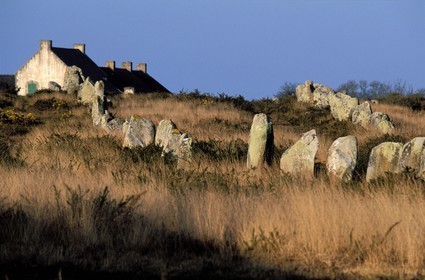 France, Morbihan, Carnac Megaliths, menhirs line