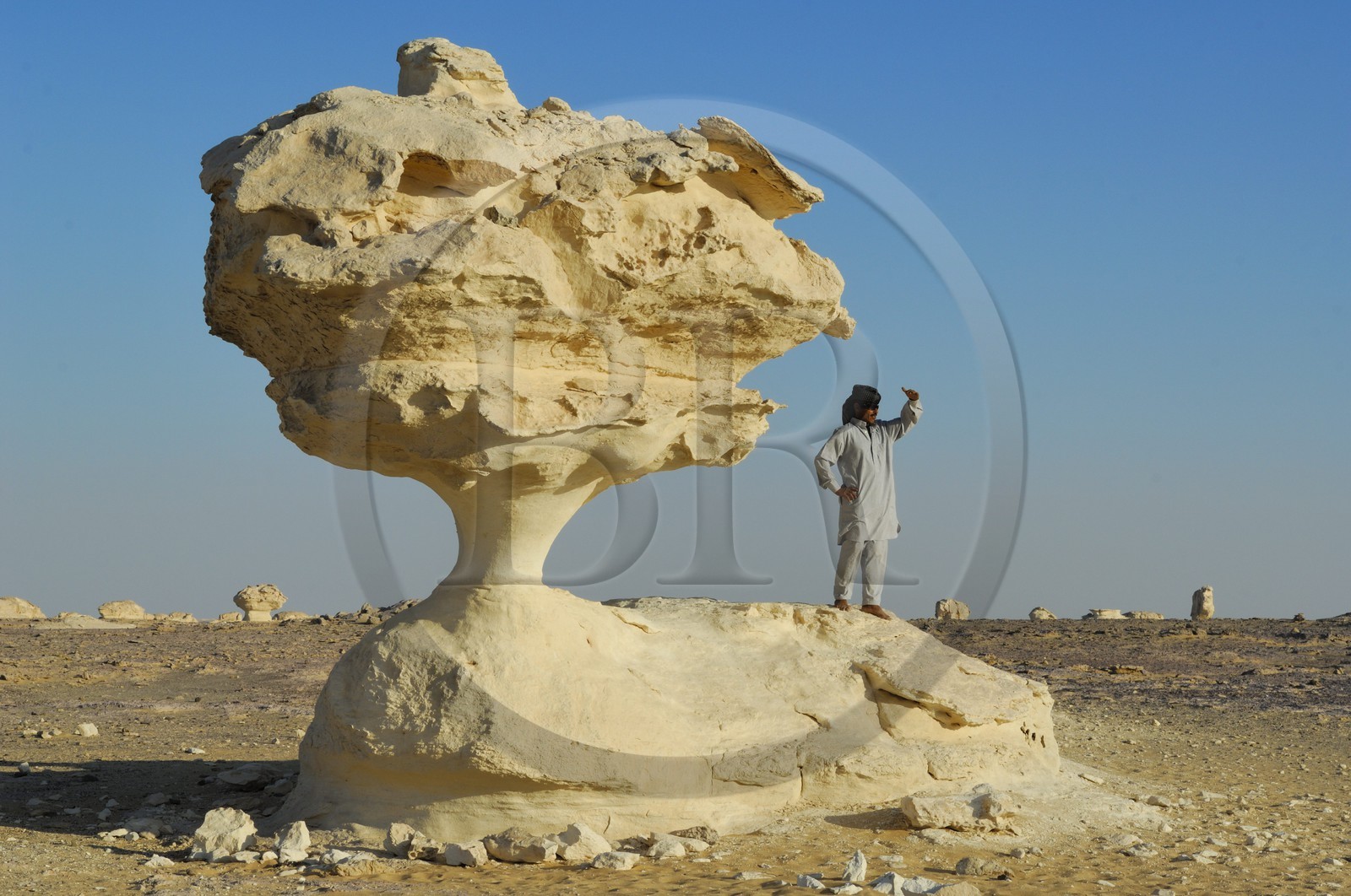 Egypte, désert libyque, le Désert Blanc au nord de Farafra