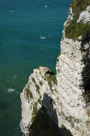 France, Seine-Maritime (76), Pays de Caux, Côte d'Albâtre, Etretat, mouettes sur la falaise d'Aval