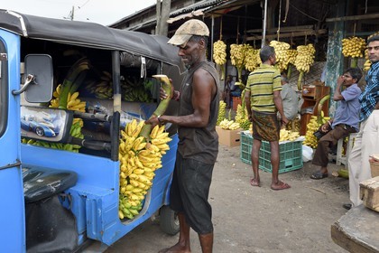 Sri Lanka, province de l'ouest, district de Colombo, Colombo, le marché de fruits et légumes Manning dans le quartier de Pettah