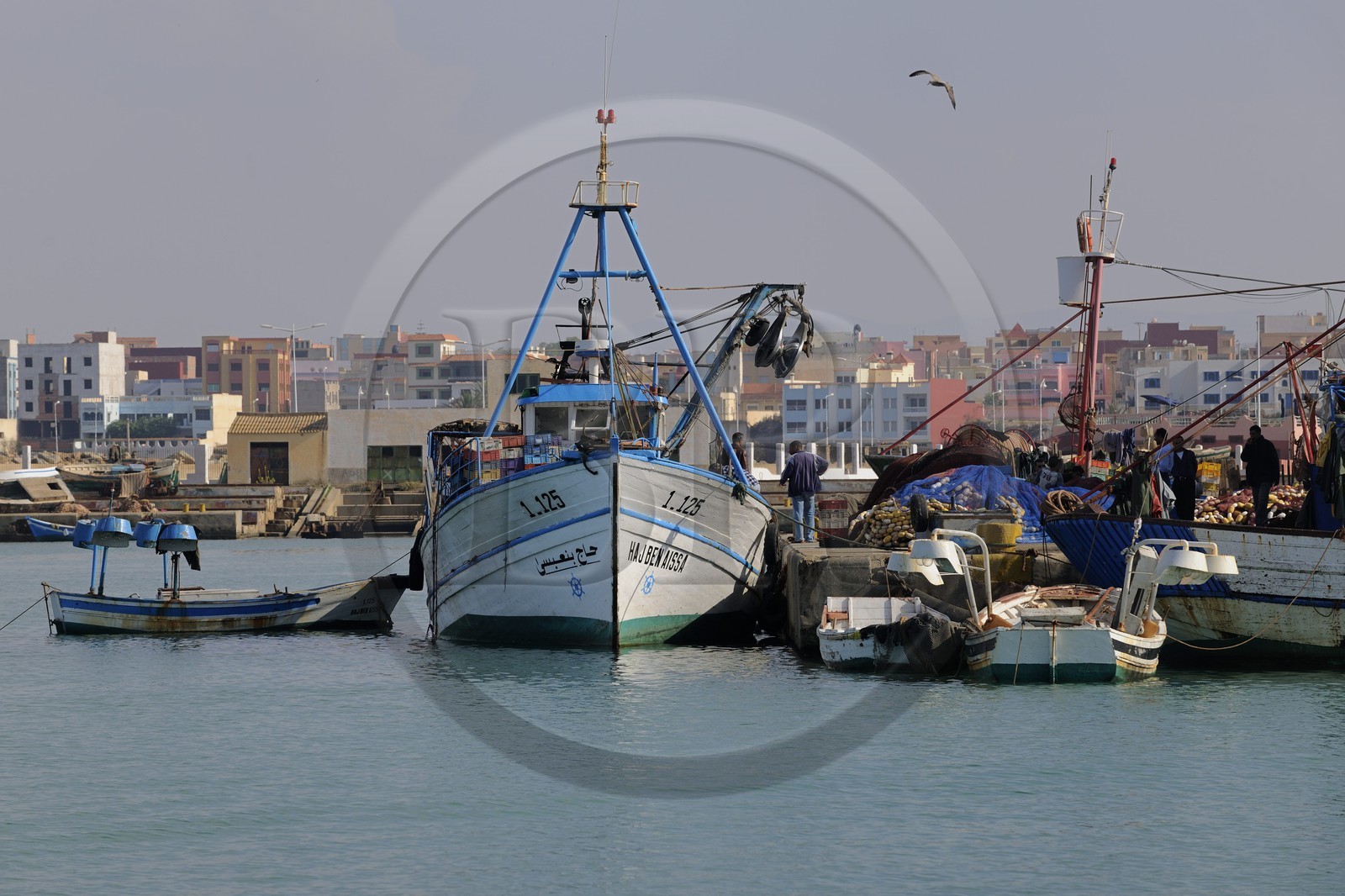 Maroc, région de l'Oriental, le port de pêche et plaisance de Ras Kebdana (Cap de l'Eau ou Cabo de Agua)