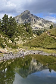 France, Hautes-Pyrénées (65), Saint-Lary-Soulan et Vielle-Aure, randonnée sur une variante du GR10 entre le col de Portet et les lacs de Bastan en bordure de la réserve naturelle de Néouvielle, le pic de Bastan en arrière plan