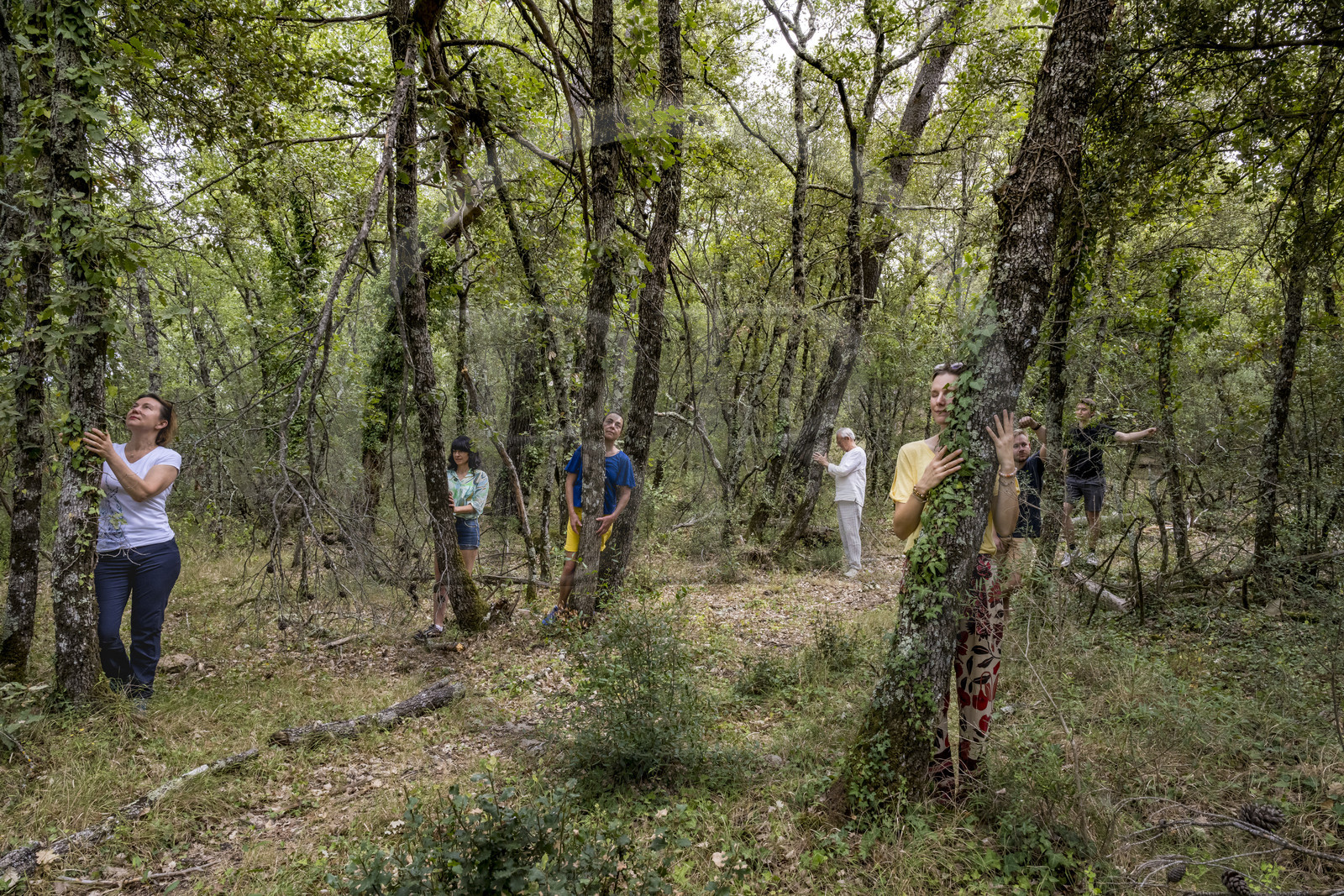 France, Var (83), Provence Verte, Bras, Académie du Bain de Forêt Provençale, forêt du domaine Le Peyrourier - une campagne en Provence, Constanze Coisne guide le Shinrin Yoku