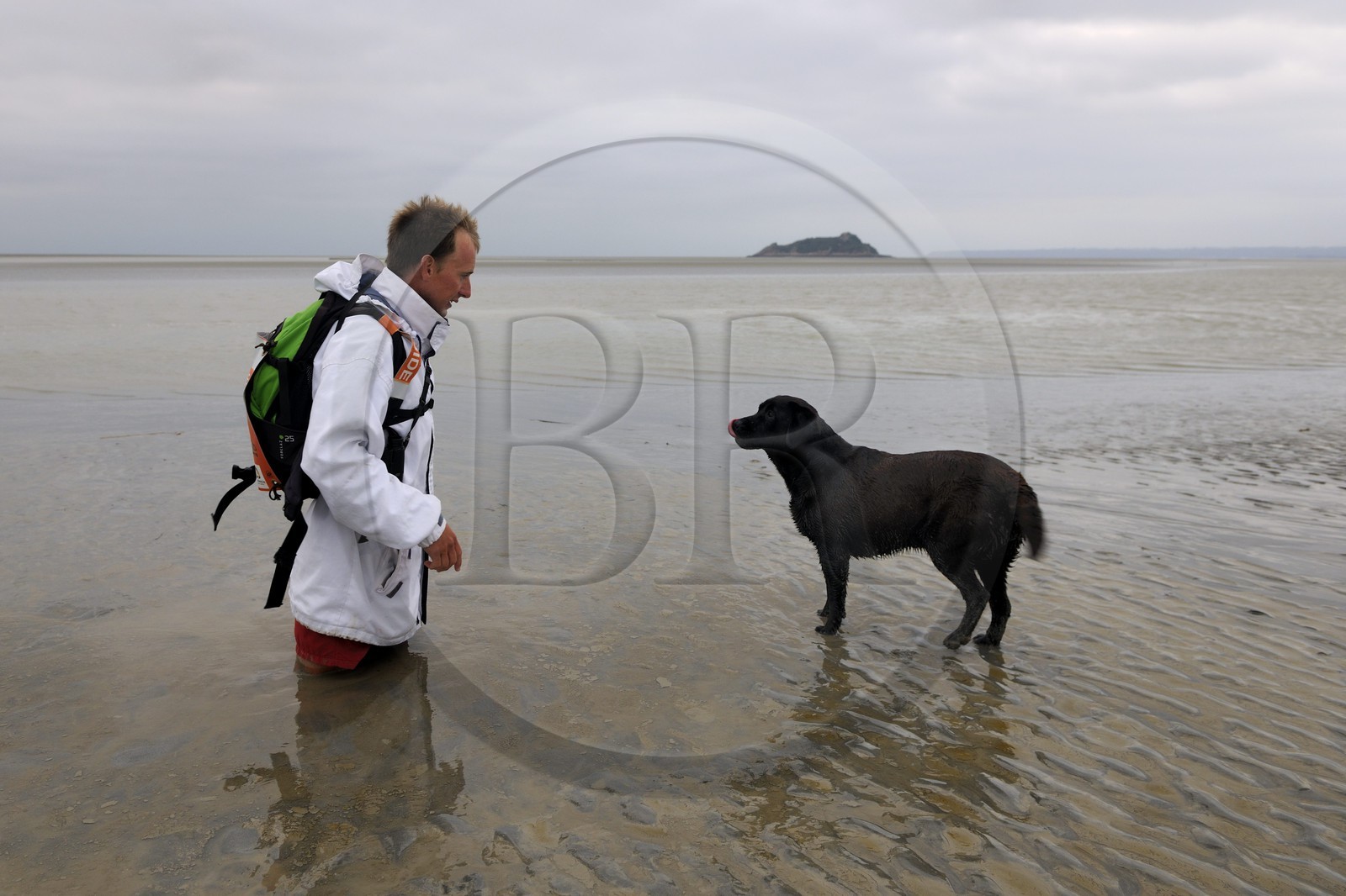 France, Manche (50), découverte de la Baie du Mont-Saint-Michel à pied, le guide Romain Pilon entrain de s'ensabler et l'ile de Tombelaine en arrière plan