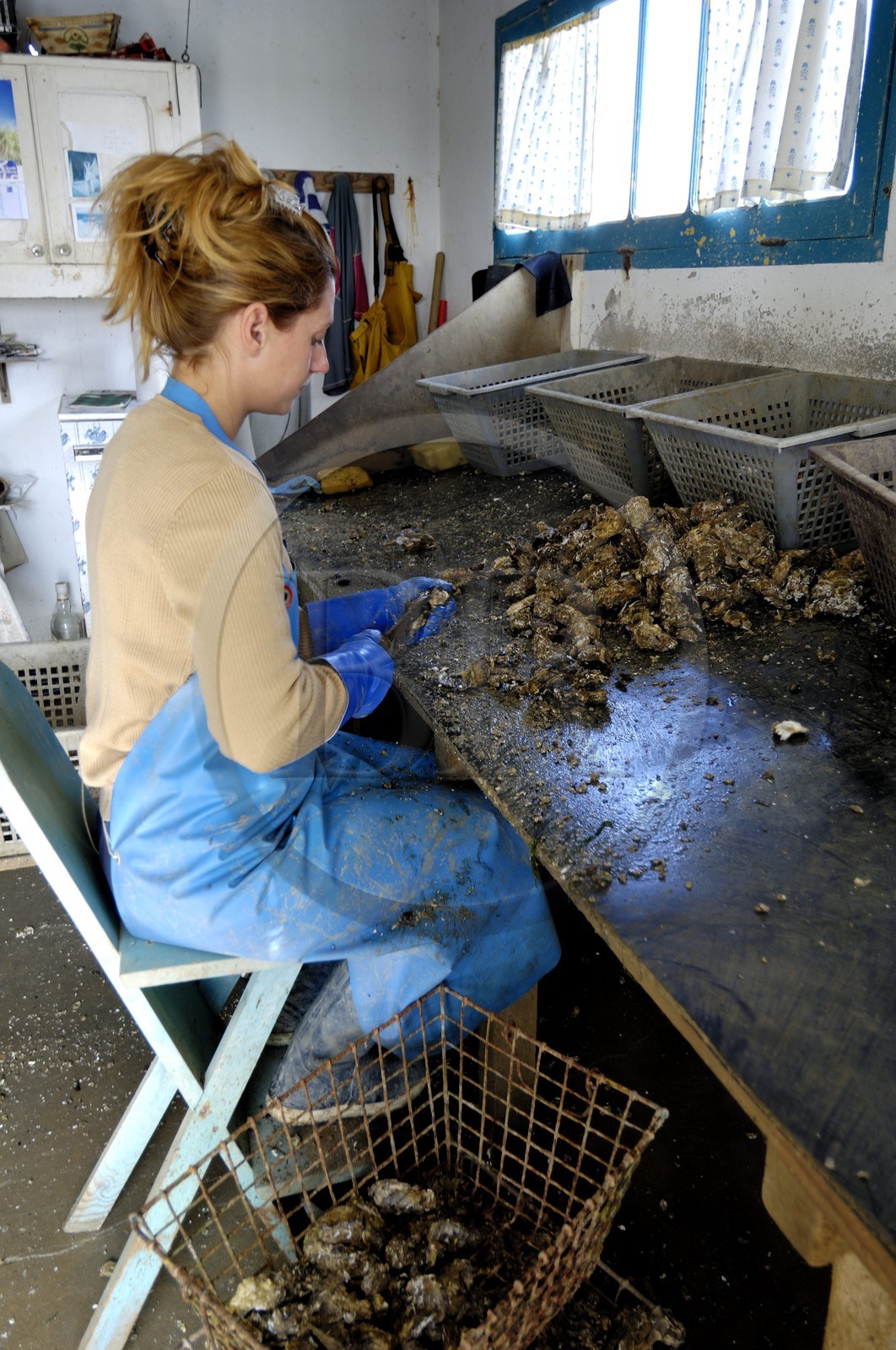 France, Charente-Maritime (17), Ile d'Oléron, le chenal d'Ors, port ostréicole
