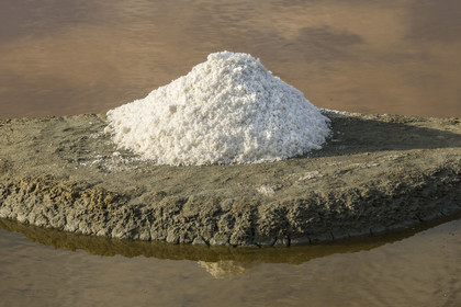 France, Vendee, L'Ile d'Olonne next to Les Sables d'Olonne, salorge de la Vertonne in the Salt Marshes, artisanal salt harvest