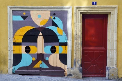 France, Puy de Dome, Clermont Ferrand, street art, door of a shop on the ground floor of 1 rue Blaise Pascal
