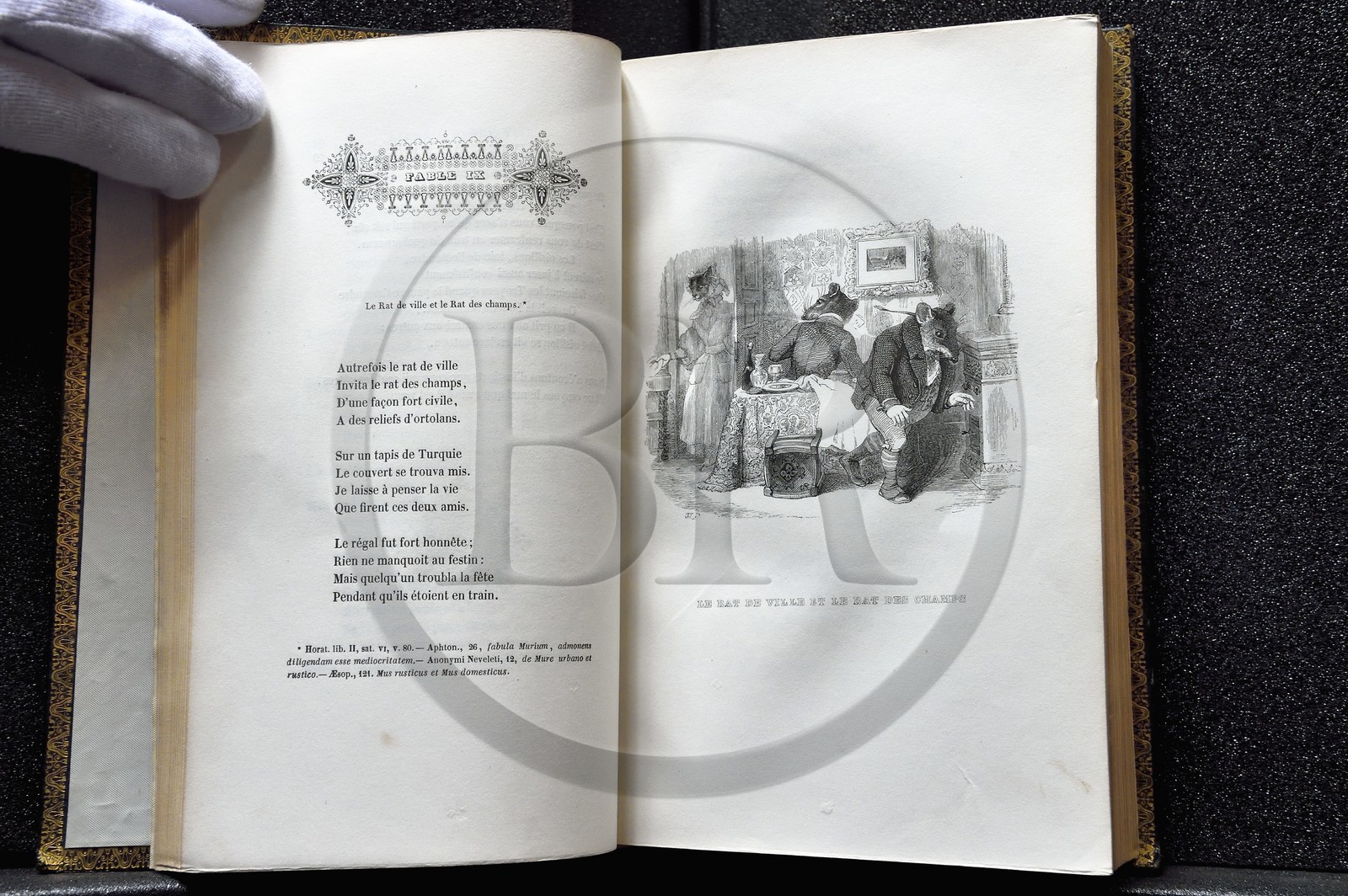France, Aisne (02), Château-Thierry, Musée Jean de La Fontaine - Ville de Chateau-Thierry, livre des Fables de La Fontaine, édition illustrée (Fournier Aîné 1839 - 1e édition en 1838) par le caricaturiste Jean Jacques Grandville, Le Rat de ville et le Rat des champs fable IX du livre I