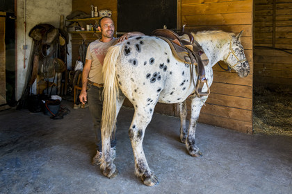 France, Herault, the Causses and the Cevennes, Mediterranean agro pastoral cultural landscape, listed as World Heritage by UNESCO, La Vacquerie et Saint Martin de Castries, the Mas de Cisco ranch, Jordi Amposta leads the equine activities with his partner Alexandra Samard