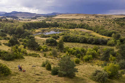 France, Cantal, Parc Naturel Régional des Volcans d'Auvergne (regional nature park of Auvergne volcanoes), Chastel-sur-Murat plateau, Lapsou peat bog, hickers on the Way of St. James to Santiago de Compostela by Via Arverna (aerial view)