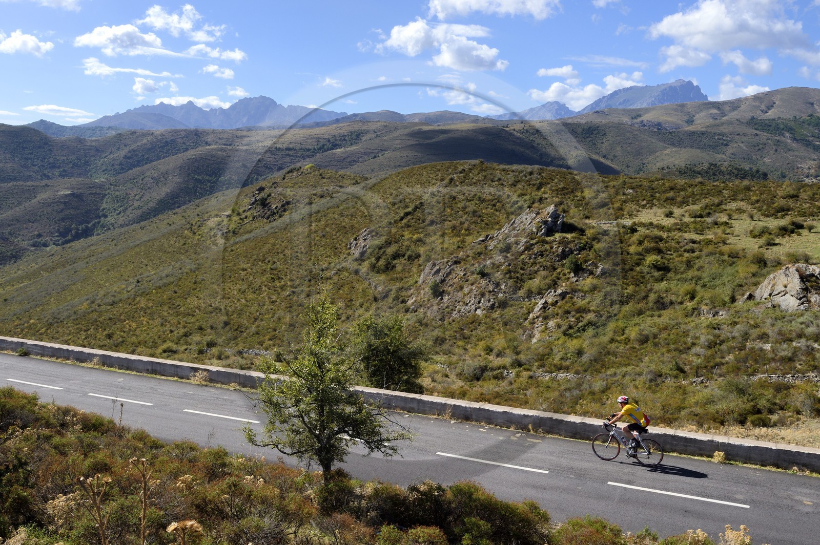 France, Haute-Corse (2B), Balagne, cycliste au col de Colombano sur la N197