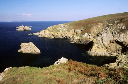 France, Finistère (29), réserve du Cap Sizun