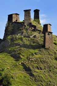 Géorgie, Kakheti, Parc national de Touchétie, Omalo, la forteresse de Keselo de Zemo (haut) Omalo a servi de refuge aux habitants en temps de guerre, tours fortifiées médiévales