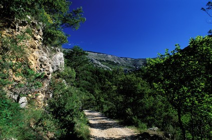 France, Alpes Maritimes, authentic Route Napoleon overhanging the Gorges of the sources of the Siagne