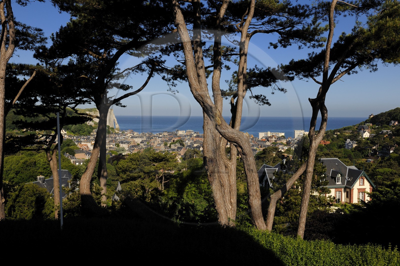 France, Seine-Maritime (76), Pays de Caux, Côte d'Albâtre, Etretat depuis les hauteurs