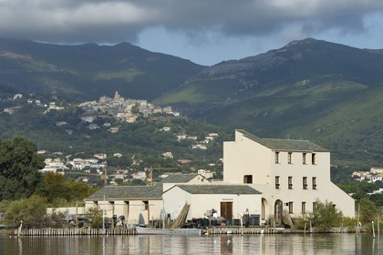 France, Haute Corse, the pond of Biguglia (Stagnu di Chiurlinu), nature reserve of Corsica (RNC), Nature Reserve of the Pond of Biguglia Ecomuseum in the former fort, the village of Furiani in the background
