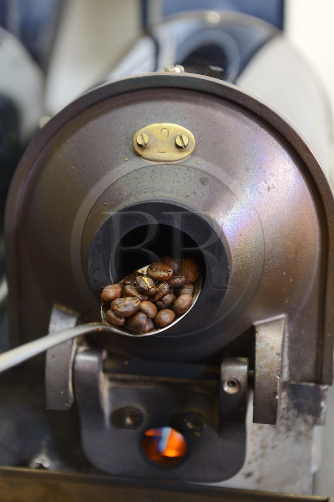 Panama, province de Chiriqui, Boquete, plantation de café Finca Lerida, torréfaction de grains de café