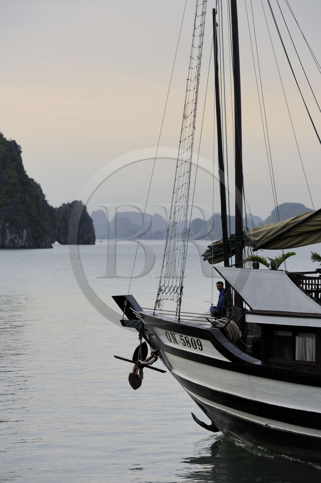 Vietnam, province de Quang Ninh, la Baie d'Halong classée Patrimoine Mondial de l'UNESCO, jonque de la compagnie de croisière Bahya