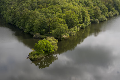 France, Vendée (85), Mervent, forêt de Mervent où les eaux des rivières la Mère et la Vendée se rejoignent, l'Ile Mélusine