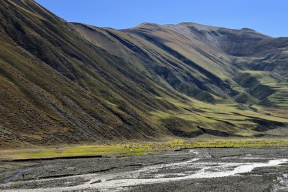 Azerbaijan, Quba (Guba) region, Greater Caucasus mountain range, the valley along Xinaliq Yolu road towards Khinalug, shepherd and his flock of sheep