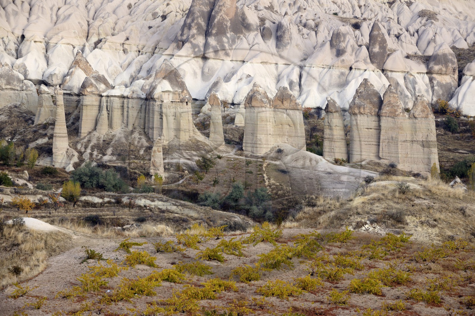 Turkey, Central Anatolia, Nevsehir Province, Cappadocia listed as World Heritage by UNESCO, around Uçhisar, Love Valley, erosion landscape and fairy chimneys (aerial view)