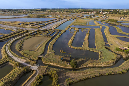 France, Vendee, L'Ile d'Olonne next to Les Sables d'Olonne, the marshes (salt marshes on the left) and the Saint-Martin-de-Vertou church in the background  (aerial view)