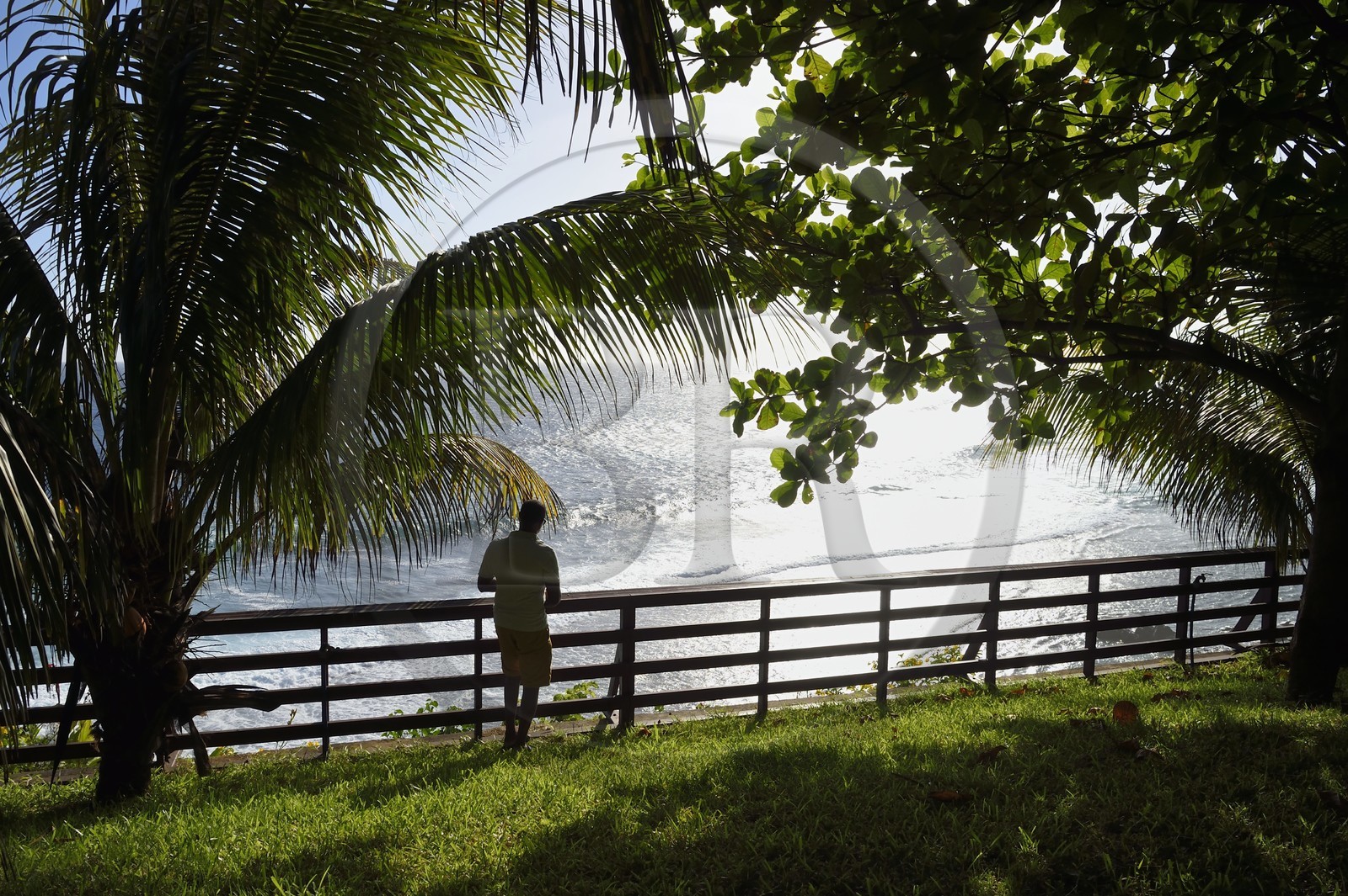 France, Reunion island (French overseas department), Petite-Ile on the southern coast, garden with view