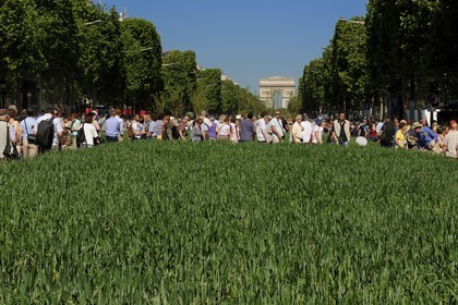 France, Paris (75), opération Nature Capitale 2010 sur les Champs-Elysées