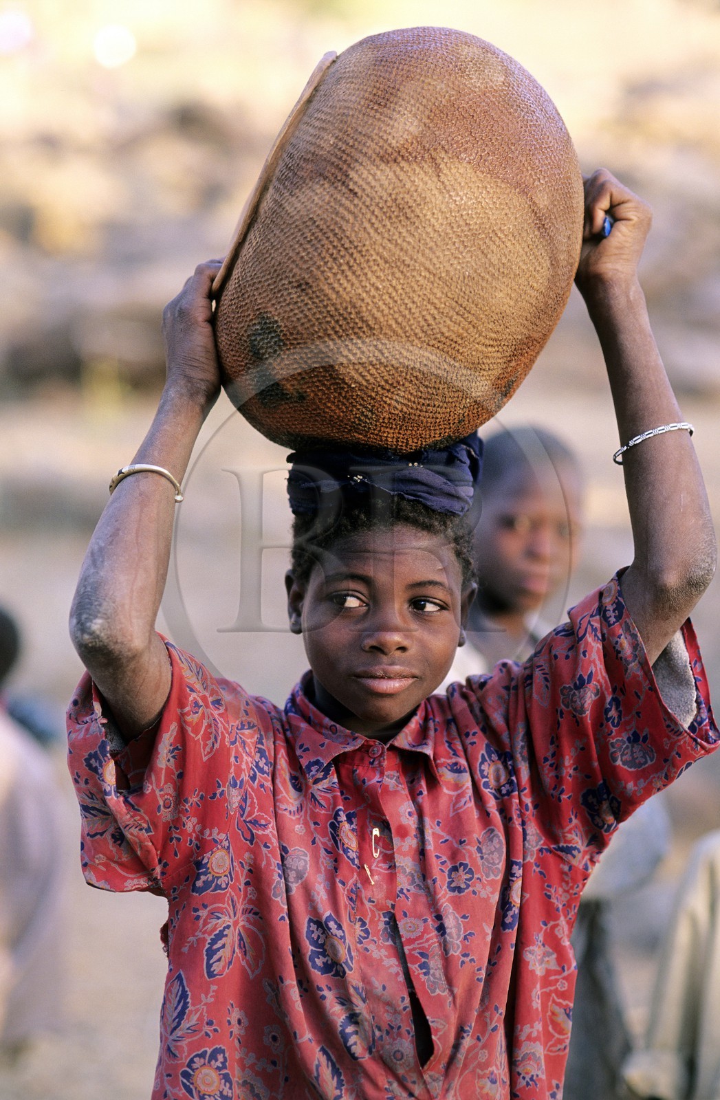 Mali, pays Dogon, falaise de Bandiagara classée Patrimoine Mondial de l'UNESCO, Tereli, jeune fille se rendant au puit, portant un canari (poterie)
