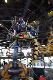 France, Loire-Atlantique, Nantes, les Machines de l'Ile, marine wold carousel
