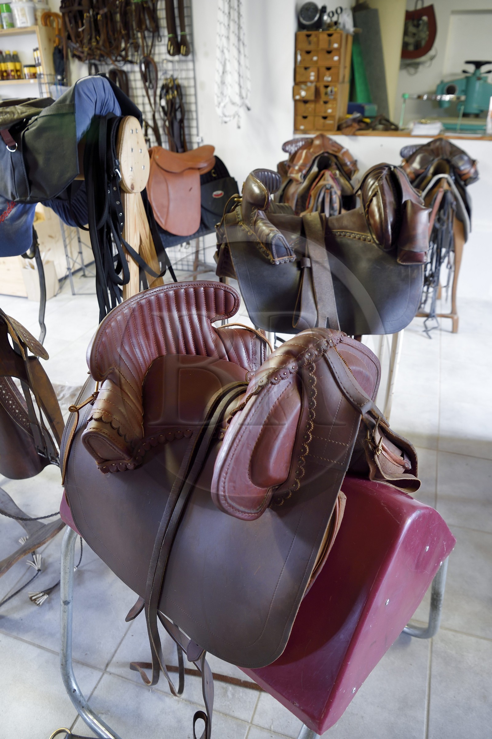 France, Gard (30), Fourques, Sellerie Victor Mailhan, selle de gardian camarguais