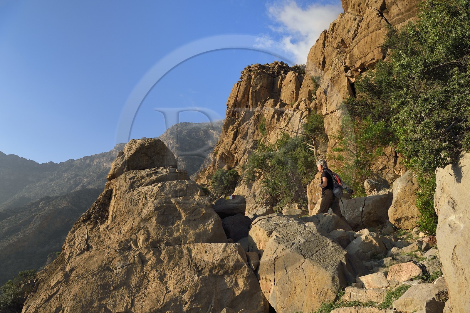 Sultanat d'Oman, Gouvernorat d'Al-Batina du Sud, Hajar occidental, Wadi Mistall, village de Wakan (Wukan), le sentier de randonnée monte vers le sommet du Qarn Wukan (2501m) en arrière plan