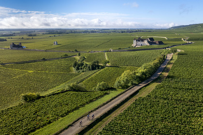 France, Cote d'Or, cultural Landscape of the climates of Burgundy listed as World Heritage by UNESCO, Route des Grands Crus (road of Vintage Wines), vineyard of the Côte de Nuits, Vougeot, cyclists on a small road leading to the Chateau of Clos de Vougeot surrounded by vineyards (aerial view)