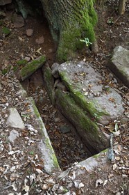 France, Bas-Rhin (67), Mont Saint-Odile, le Mur Païen, vestige d'un mur d'enceinte probablement de l'époque mérovingienne d'une longueur totale de onze kilomètres, tombe mérovingienne