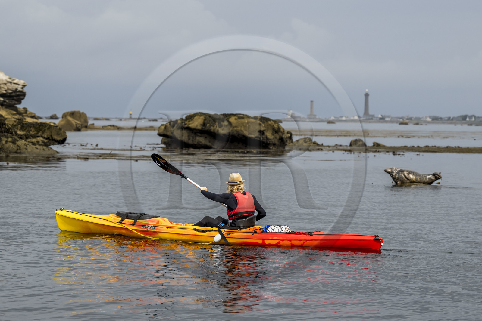 France, Finistère (29), Penmarch, archipel des Étocs, sortie en kayak du Centre nautique du Guilvinec à la découverte du phoque gris (halichoerus grypus) dans les rochers à marée basse, le phare d'Eckmuhl sur la Pointe de Penmarch en arrière plan France, Finistère (29), Penmarch, archipel des Étocs, sortie en kayak du Centre nautique du Guilvinec à la découverte du phoque gris (halichoerus grypus) dans les rochers à marée basse, le phare d'Eckmuhl sur la Pointe de Penmarch en arrière plan